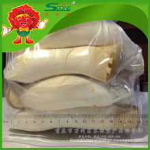 Chinese Gold Supplier of Fresh Pleurotus